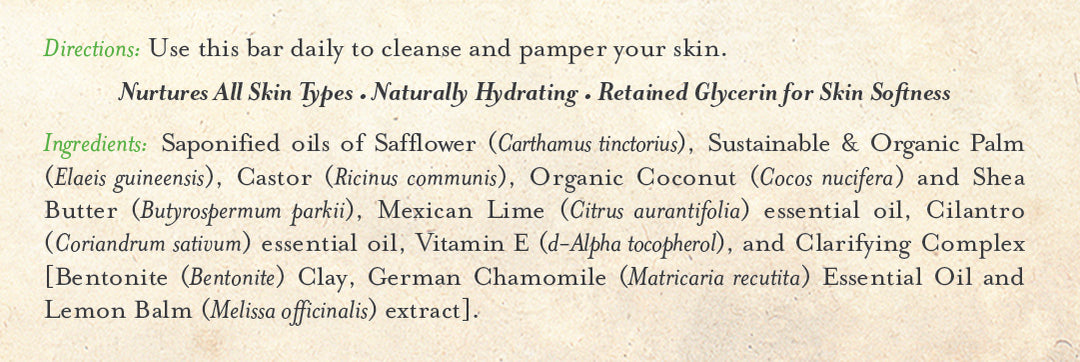 Bar Soap Mexican Lime & Cilantro