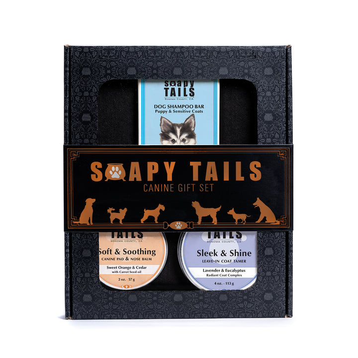 Soapy Tails Dog Boxed Gift Set Splash & Shine