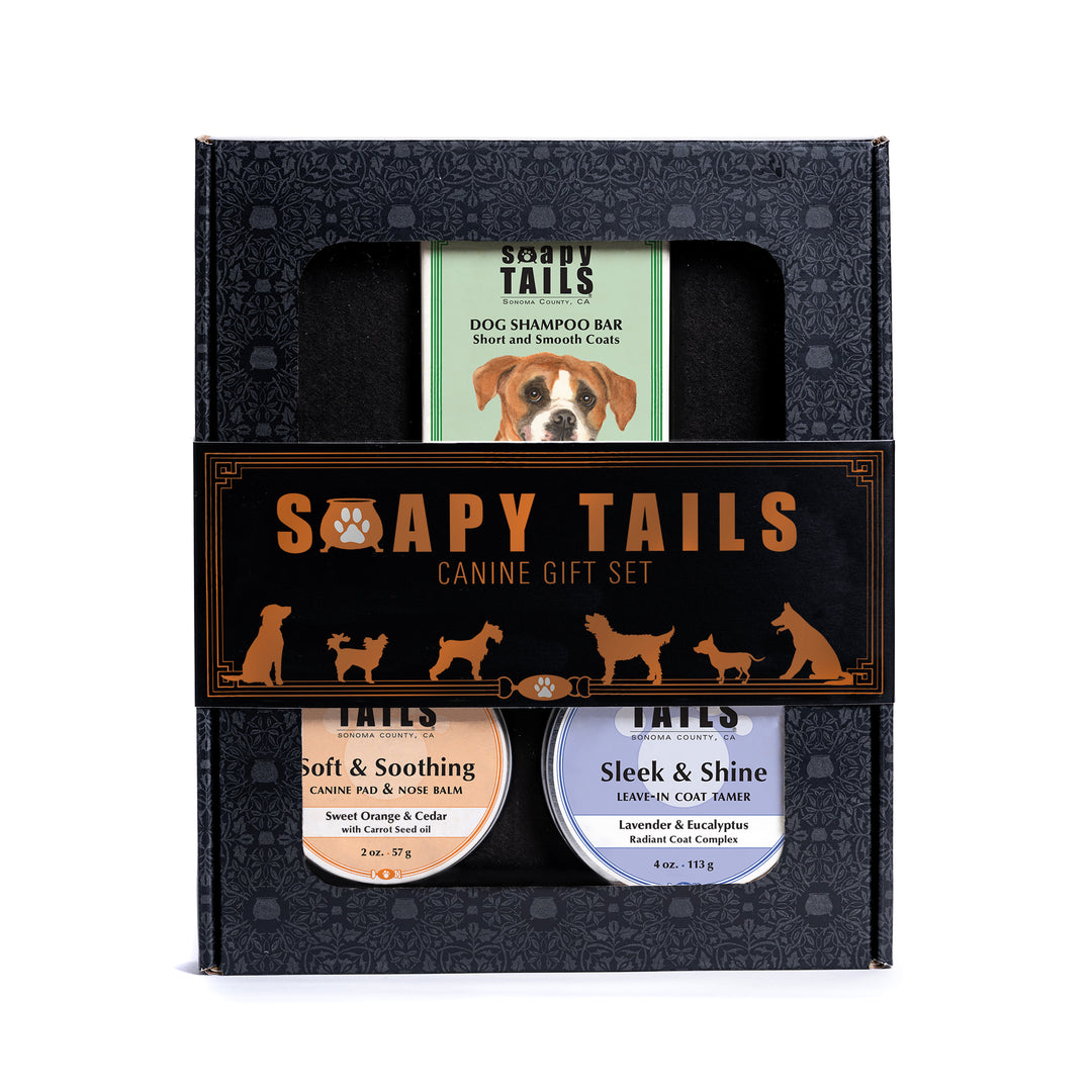 Soapy Tails Dog Boxed Gift Set Splash & Shine